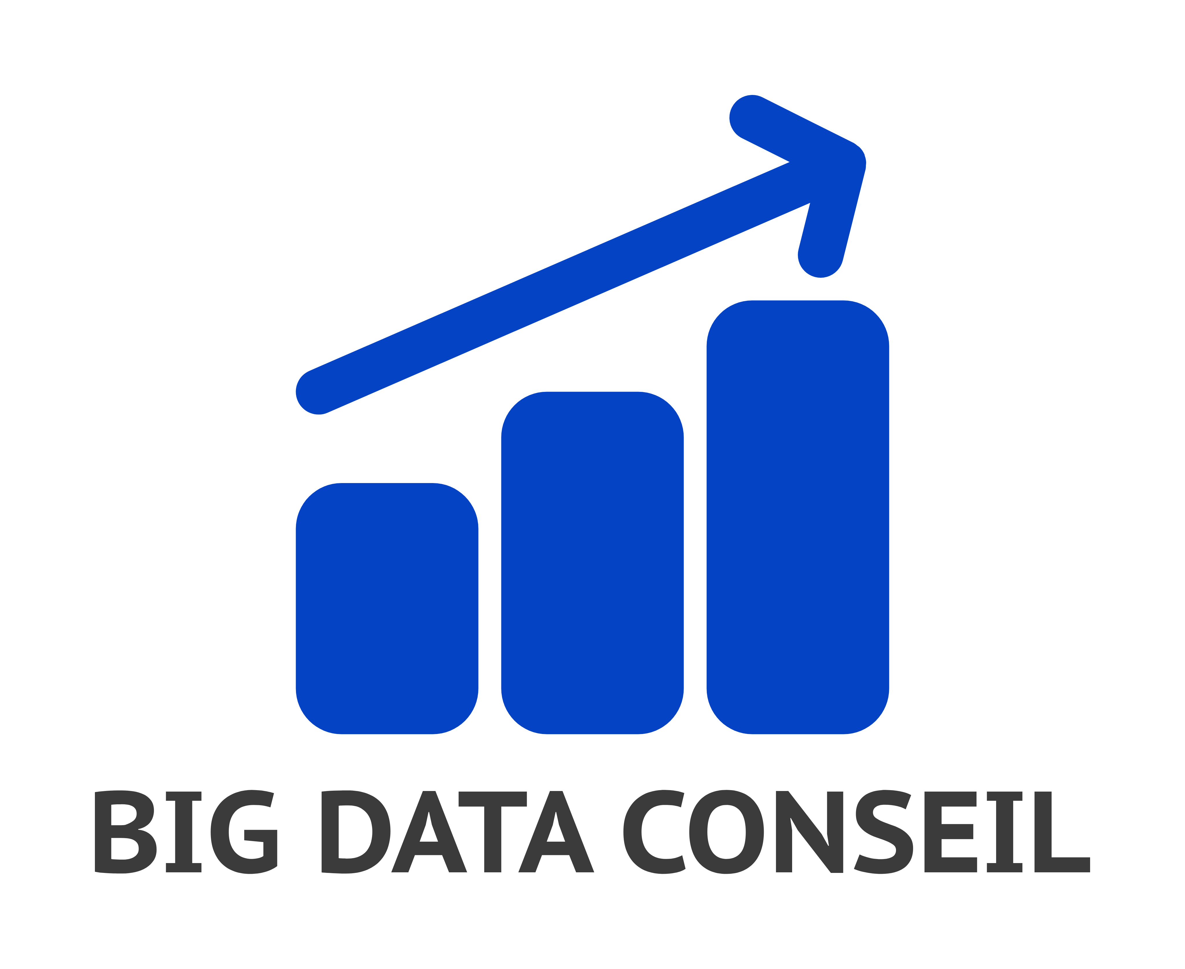 Big Data Conseil